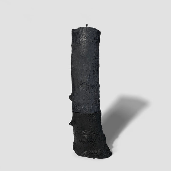Branch Candle and Holder