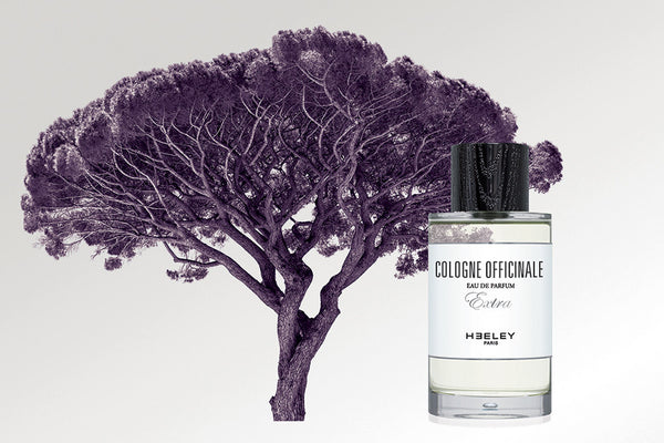 Cologne Officinale