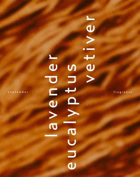 September Eau de Parfum