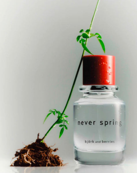 Never Spring Eau de Parfum